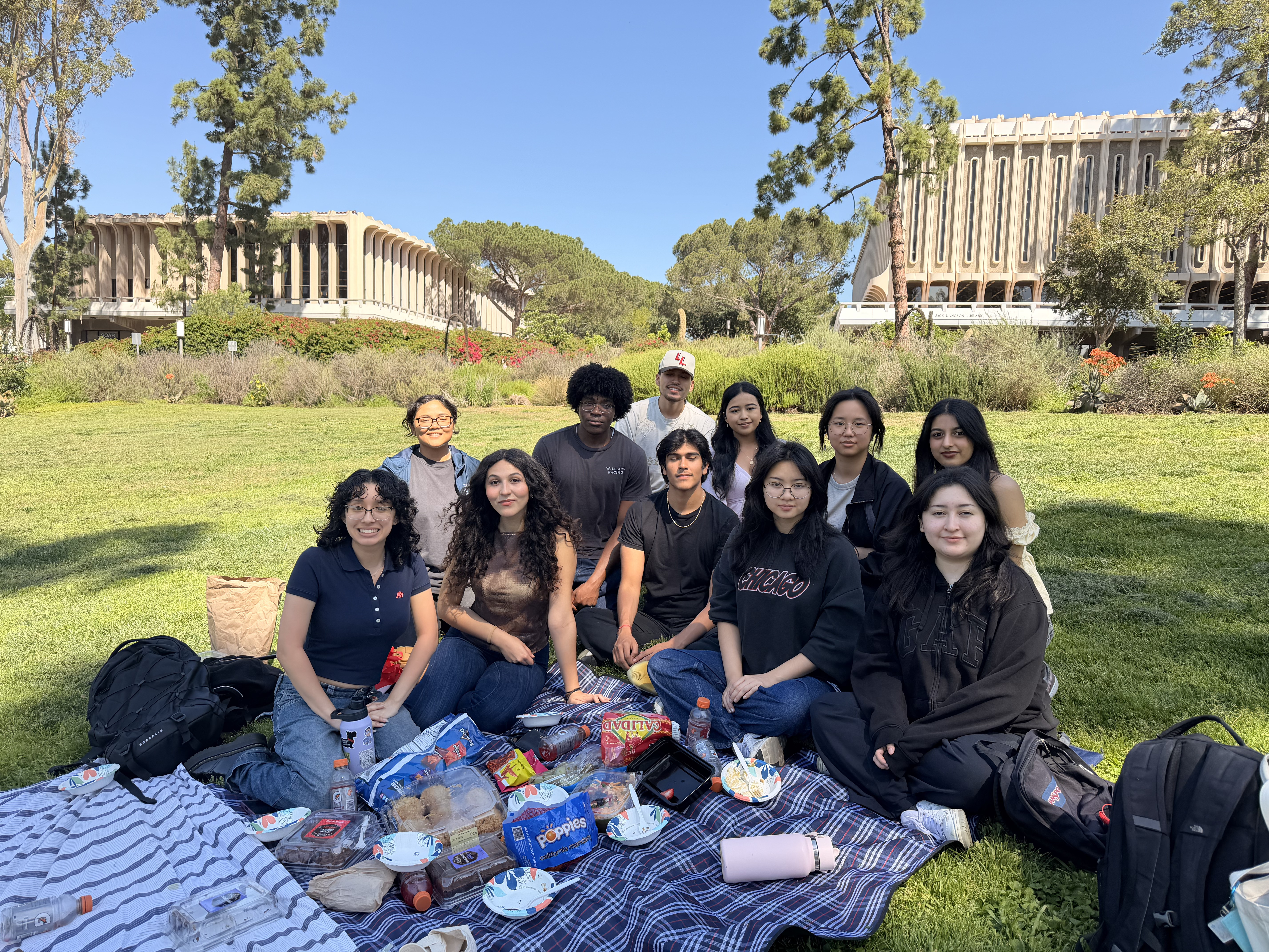 Board picnic social.